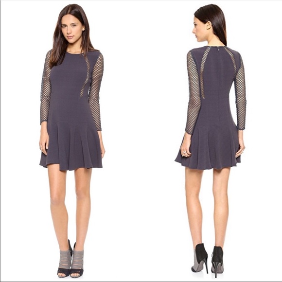 Rebecca Taylor Dresses & Skirts - Rebecca Taylor Long Sleeve Dress with Mesh